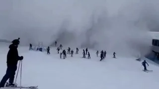 WhatsApp Image 2026-02-19 at 09.08.57.jpeg