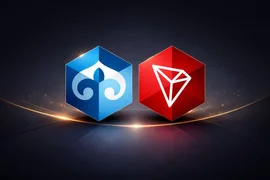 WhatsApp Image 2026-02-22 at 14.44.50.jpeg