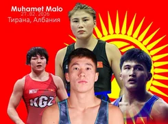 WhatsApp Image 2026-02-27 at 10.30.39.jpeg