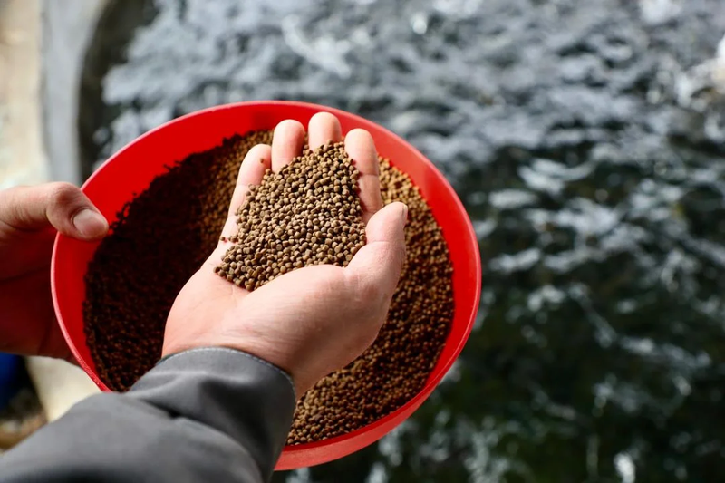 WhatsApp_Image_2026-02-28_at__lWCASo5.max-1920.width-800