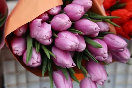 WhatsApp Image 2026-03-02 at 14.03.35.jpeg