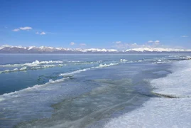 WhatsApp Image 2026-03-03 at 15.32.24.jpeg