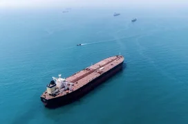 WhatsApp Image 2026-03-04 at 09.41.13.jpeg