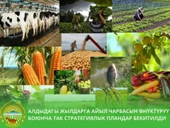 WhatsApp Image 2026-03-04 at 16.30.24.jpeg