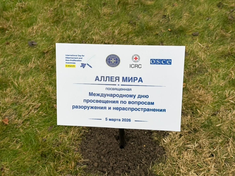 WhatsApp Image 2026-03-04 at 17.52.21 (2)