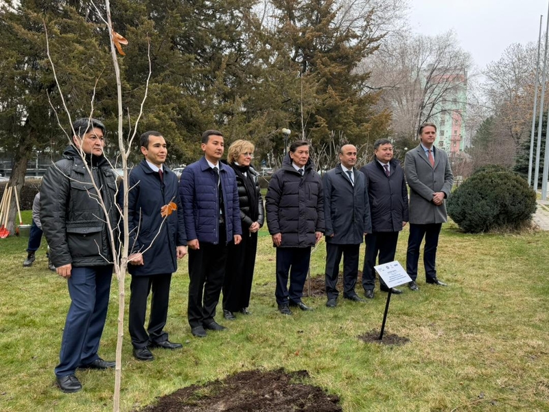 WhatsApp Image 2026-03-04 at 17.52.21 (3)