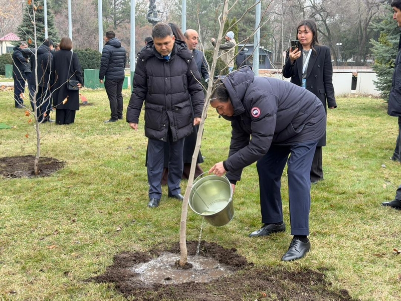 WhatsApp Image 2026-03-04 at 17.52.22