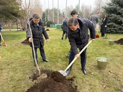 WhatsApp Image 2026-03-04 at 17.52.23.jpeg