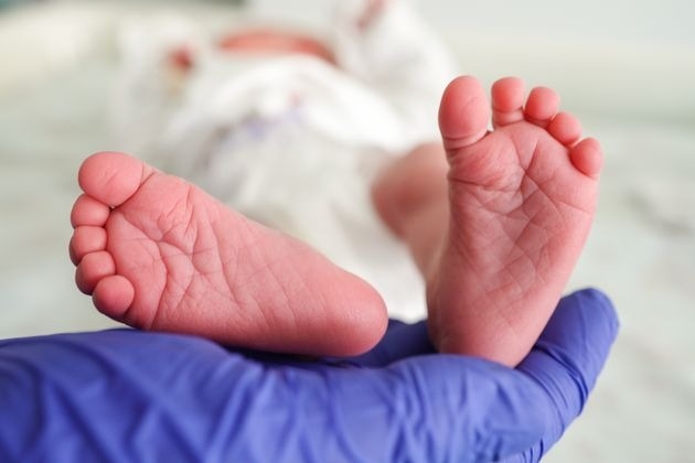 WhatsApp Image 2026-03-06 at 17.49.11