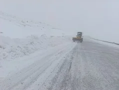 WhatsApp Image 2026-03-09 at 15.46.36.jpeg