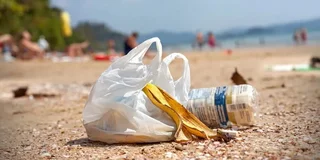 WhatsApp Image 2026-03-12 at 09.30.58.jpeg