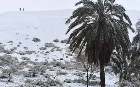 WhatsApp Image 2026-03-13 at 00.15.31.jpeg