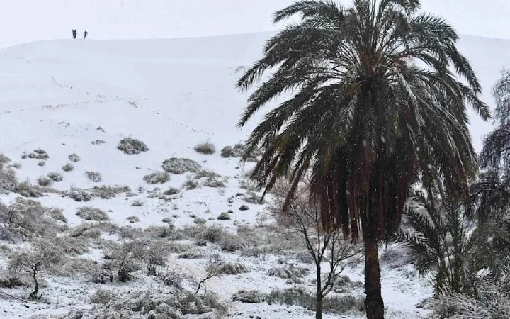 WhatsApp Image 2026-03-13 at 00.15.31.jpeg