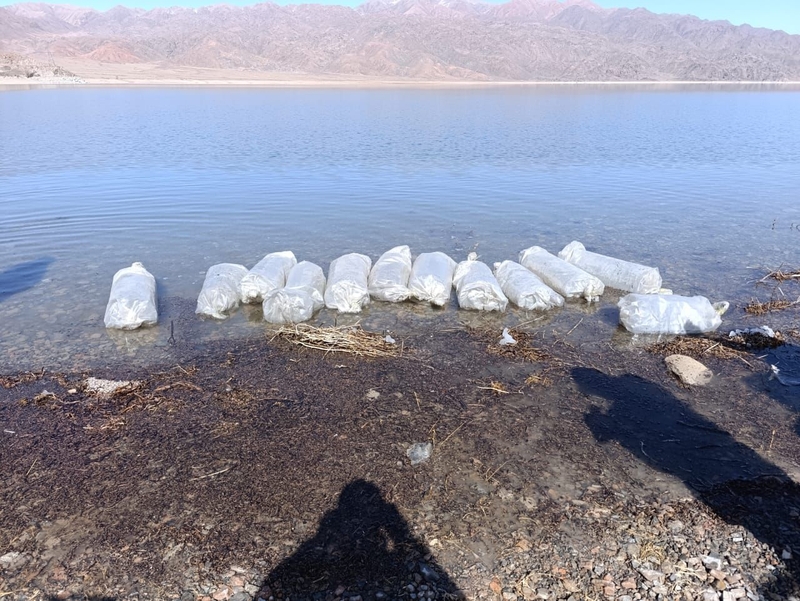 WhatsApp Image 2026-03-16 at 10.22.31