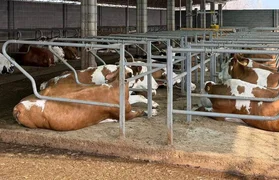 WhatsApp Image 2026-03-16 at 10.21.18 (1).jpeg