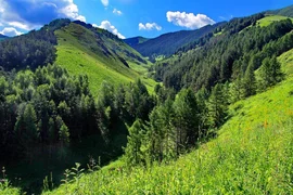 WhatsApp Image 2026-03-16 at 16.28.22.jpeg