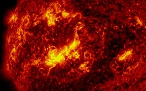 WhatsApp Image 2026-03-17 at 10.24.45.jpeg