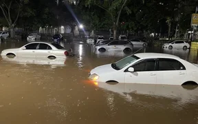 WhatsApp Image 2026-03-17 at 15.33.45.jpeg