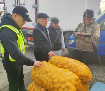 WhatsApp Image 2026-03-18 at 13.16.52.jpeg