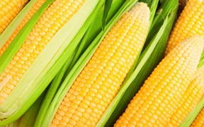 WhatsApp Image 2026-03-19 at 11.06.21.jpeg