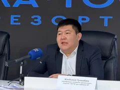 WhatsApp Image 2026-03-22 at 17.11.45.jpeg