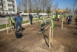 WhatsApp Image 2026-03-28 at 15.33.38 (1).jpeg