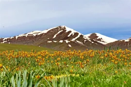 WhatsApp Image 2026-03-30 at 11.21.26.jpeg