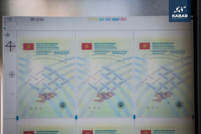 WhatsApp Image 2026-03-30 at 19.31.29