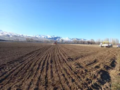 WhatsApp Image 2026-03-31 at 10.40.30.jpeg