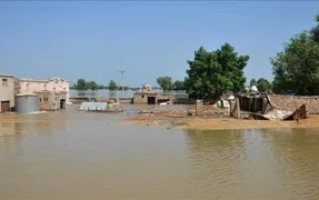 WhatsApp Image 2026-04-01 at 09.09.04.jpeg