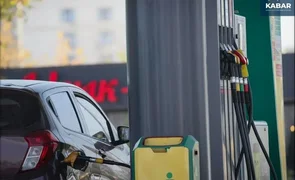 WhatsApp Image 2026-04-01 at 11.30.16.jpeg