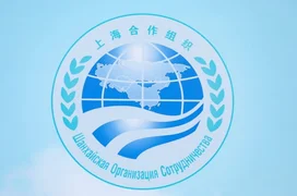 WhatsApp Image 2026-04-01 at 18.12.33.jpeg