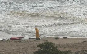 WhatsApp Image 2026-04-02 at 13.38.33.jpeg