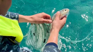 WhatsApp Image 2026-04-05 at 17.15.47.jpeg