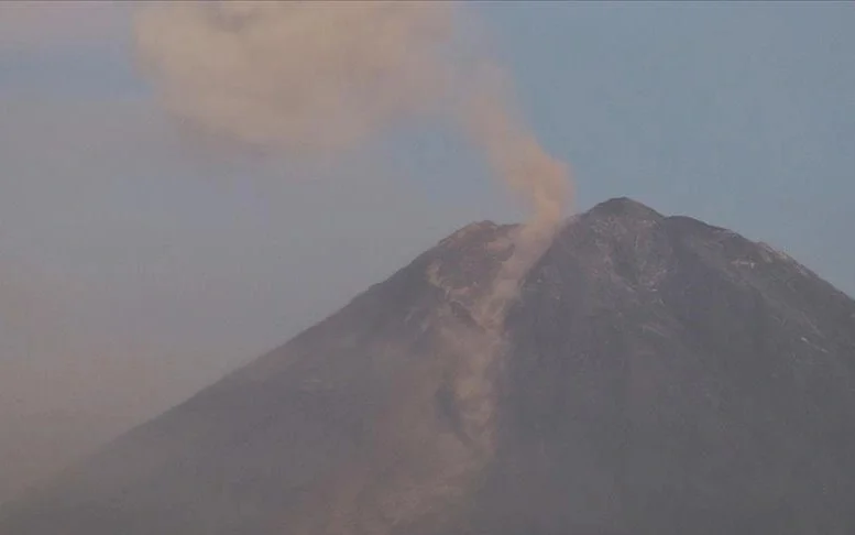 WhatsApp Image 2026-04-06 at 09.10.54.jpeg