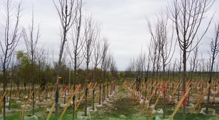 WhatsApp Image 2026-04-07 at 10.26.37.jpeg