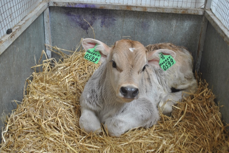 WhatsApp Image 2026-04-08 at 10.33.44 (2).jpeg