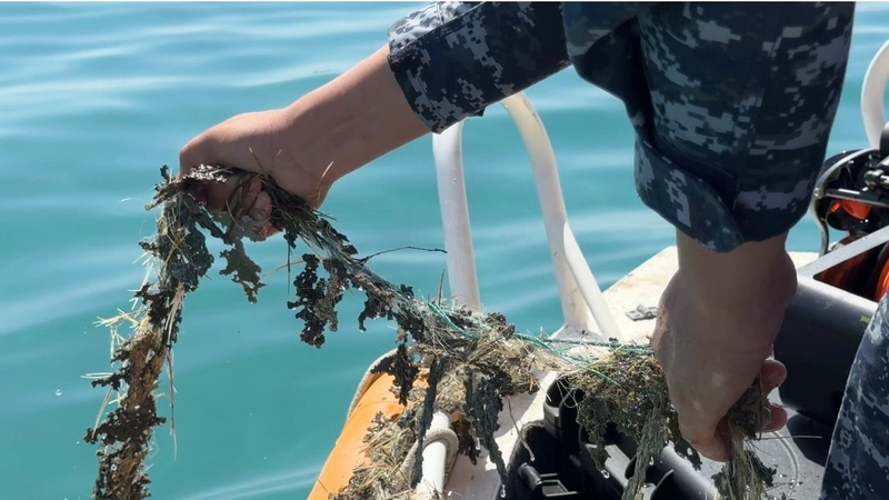 WhatsApp Image 2026-04-08 at 17.47.18.jpeg