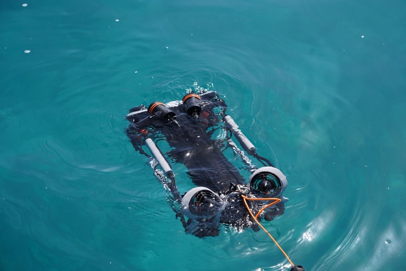 WhatsApp Image 2026-04-08 at 17.47.22.jpeg