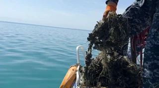 WhatsApp Image 2026-04-08 at 17.47.18 (1).jpeg