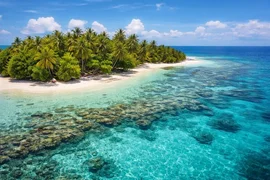 WhatsApp Image 2026-04-10 at 14.03.21.jpeg