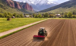 WhatsApp Image 2026-04-13 at 22.03.01.jpeg