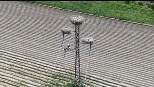 WhatsApp Image 2026-04-14 at 22.01.56.jpeg