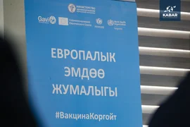 WhatsApp Image 2026-04-21 at 13.41.35 (1).jpeg