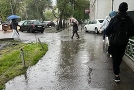 WhatsApp Image 2026-05-11 at 16.48.58.jpeg