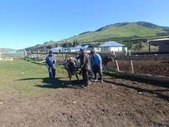 WhatsApp Image 2026-05-18 at 10.02.38.jpeg