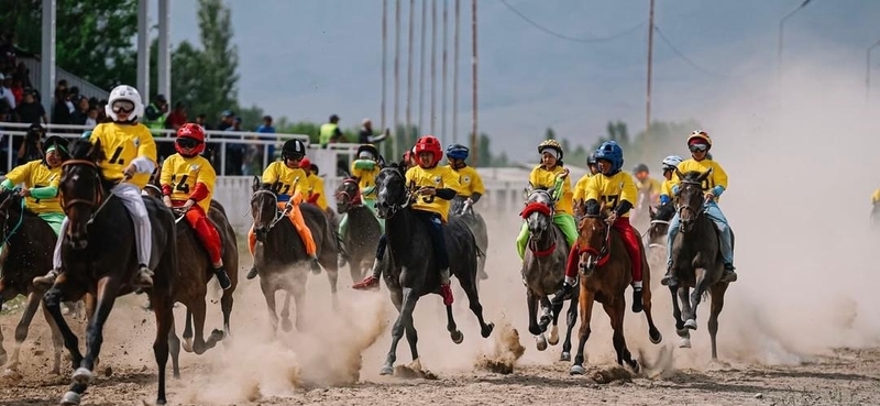 WhatsApp_Image_2026-06-01_at_15.05.28.width-800.jpg