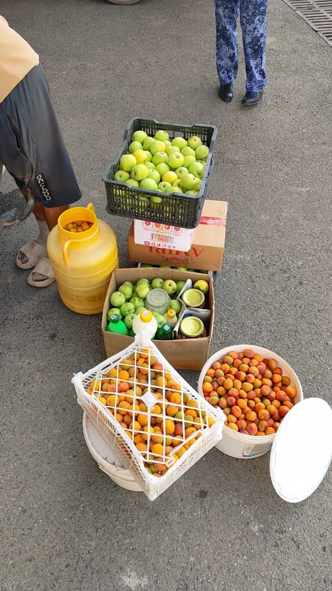 WhatsApp Image 2026-08-24 at 13.18.52.jpeg