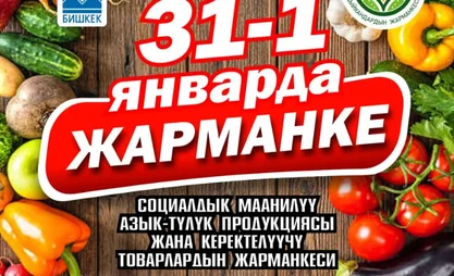 WhatsApp Image 2026-01-29 at 18.00.53.jpeg