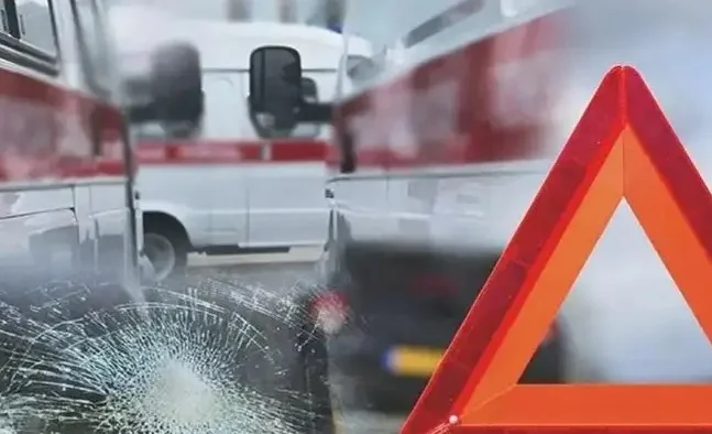 WhatsApp Image 2026-02-08 at 16.27.32.jpeg